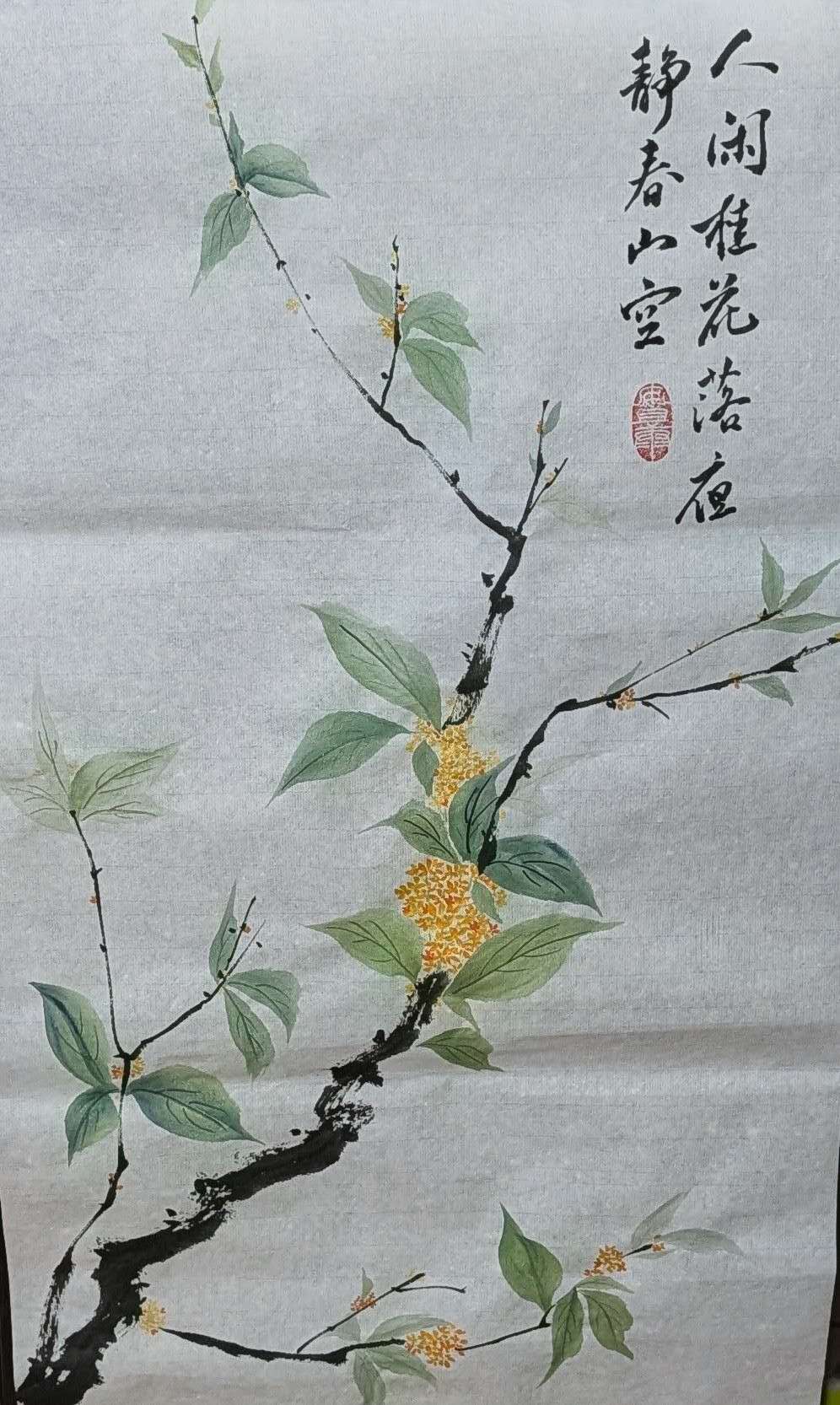 Osmanthus